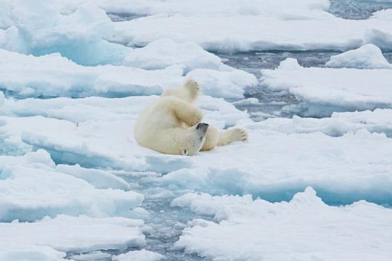 Explorador de Norte de Spitsbergen: en el hielo