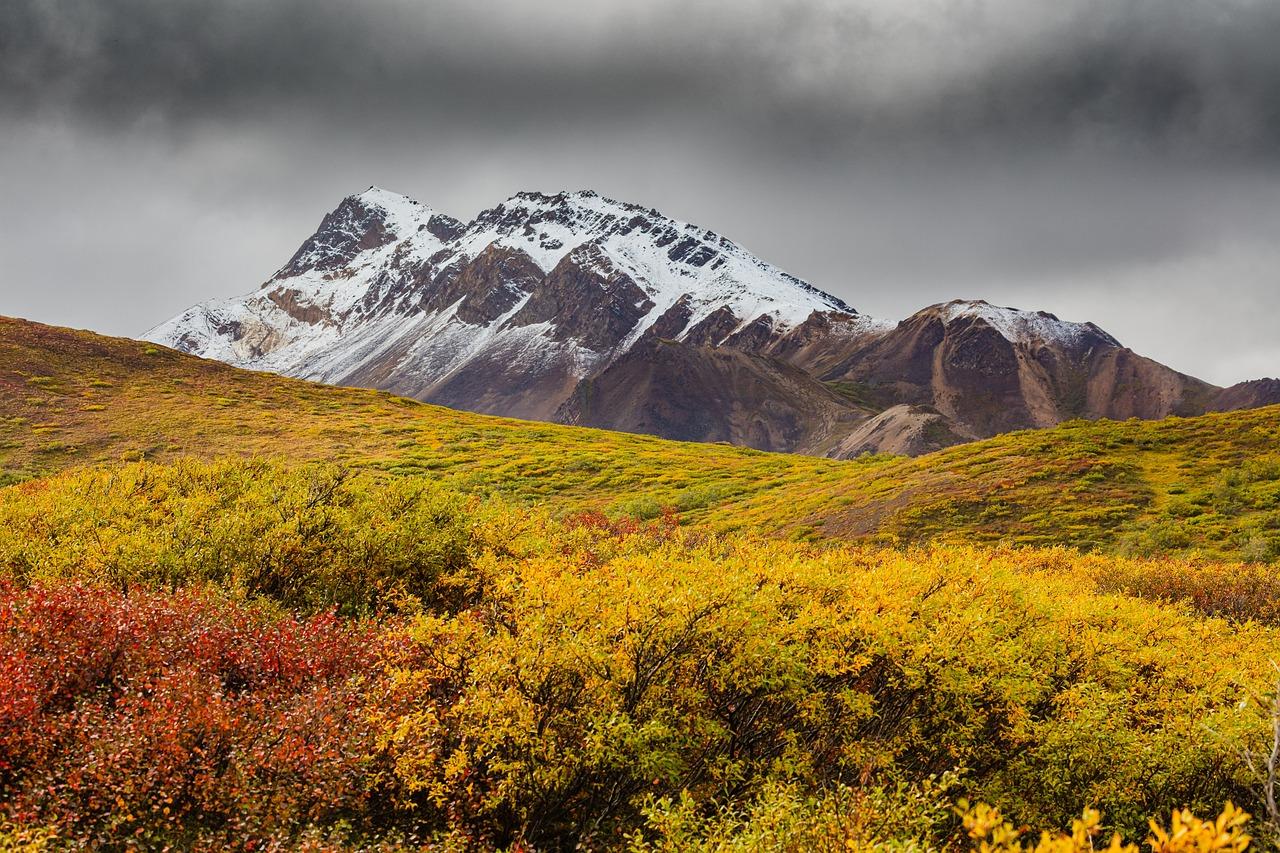 Grand Denali en Tren 