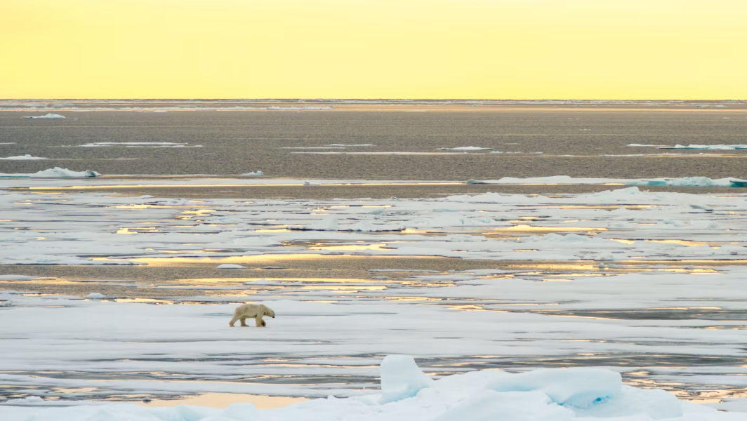 Svalbard