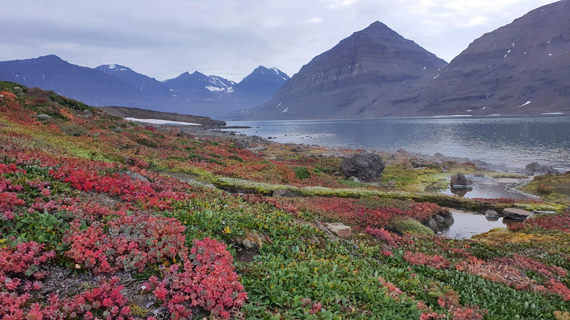 Groenlandia Oriental y el espectacular Scoresby Sund