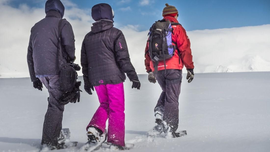Antarctic Polar Circle