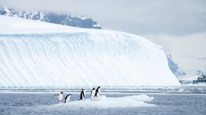 Antarctic Summer Micro Fly Cruise - Sail & Fly