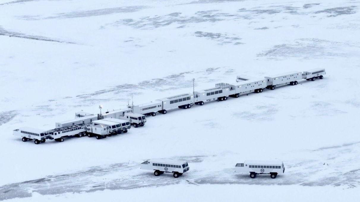 Belugas, Bears and Blooms