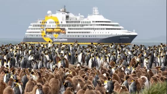 Epic Antarctica: The Falklands, South Georgia and Crossing the Circle