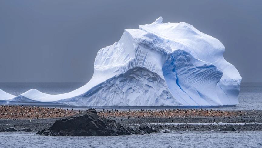 Micro Crucero: Vuele al Crculo Polar Antrtico