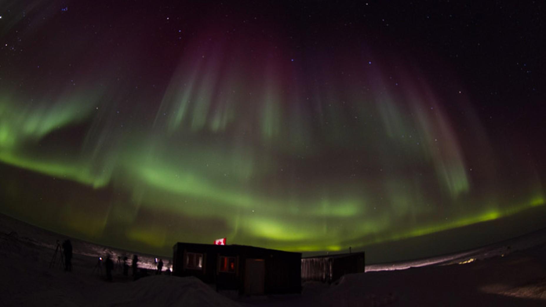 La Gran Migraci�n del Oso Polar