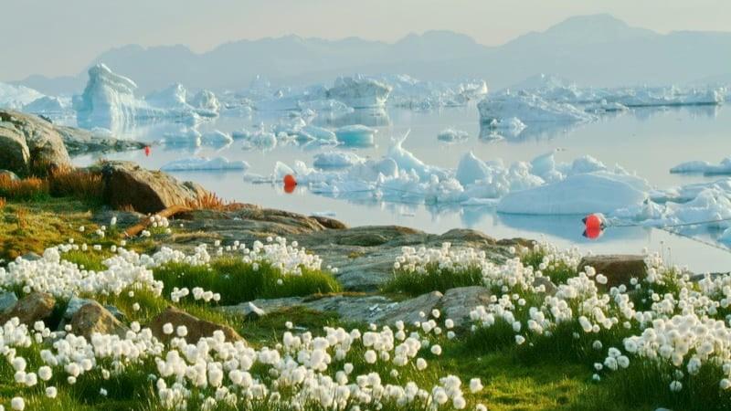 Aventura Guiada de 6 d�as por el Sur de Groenlandia en grupo peque�o