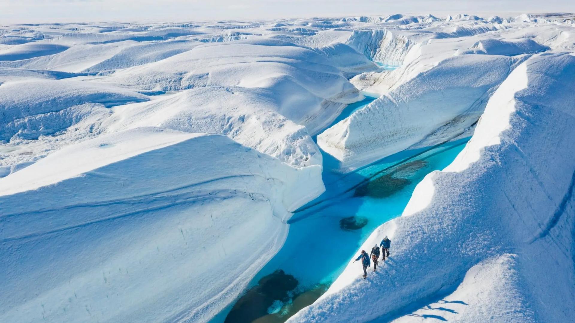 Pinguinos Beb�s y T�neles Azules
