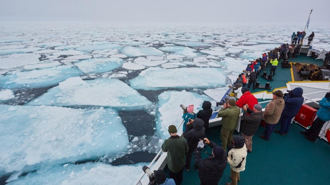 Sur de Spitsbergen, Isla de los Osos y Noruega Continental - Auroras Boreales