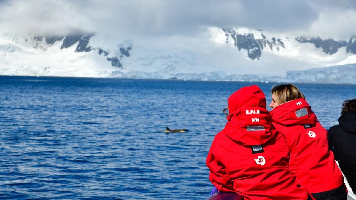 Temporada de Ballenas en la Ant�rtida