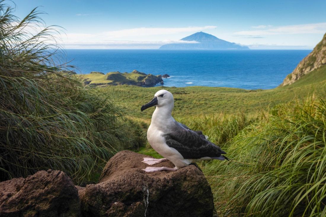 Odisea Atl�ntica excl. la Pen�nsula Ant�rtica hasta Cabo Verde