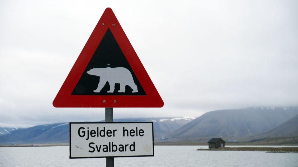 Svalbard Adventure with The Polar Travel Company