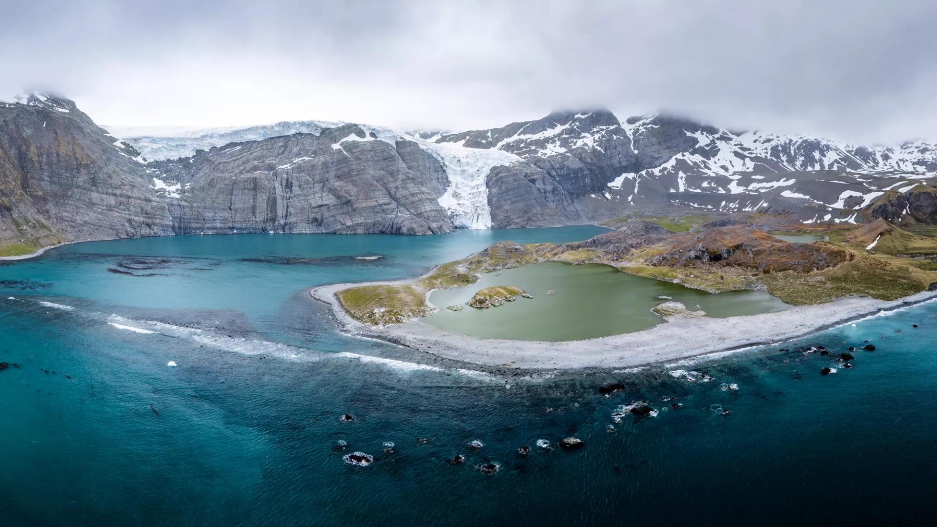 Falkland, South Georgia, Antarctica