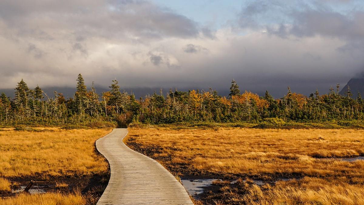 Circunnavegaci�n De Terranova (8)