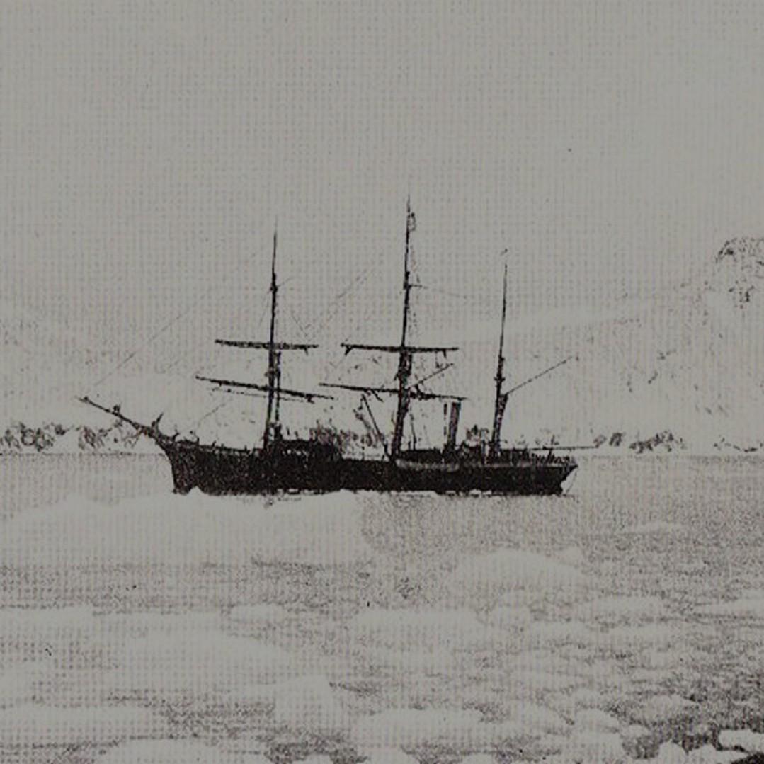 A Tale of Survival in Antarctica