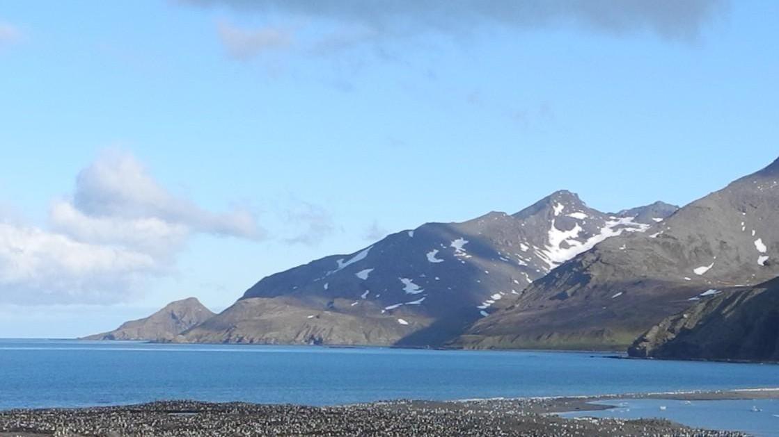 President Head, Snow Island