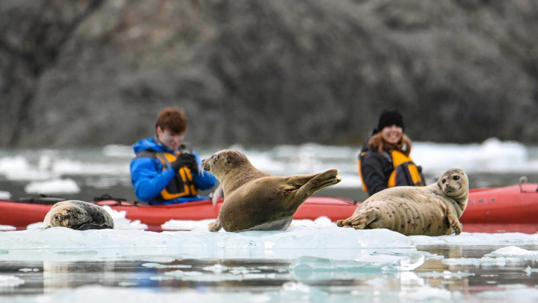 Alaska's Fjords & Glaciers with Ketchikan