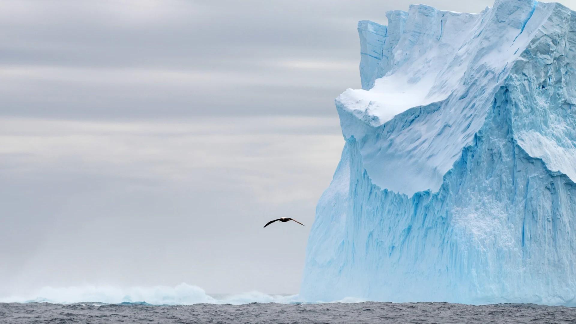 Antarctica & Falklands (Malvinas) Expedition Cruise