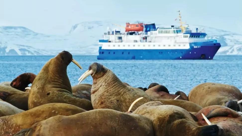 Primavera en Svalbard 2027