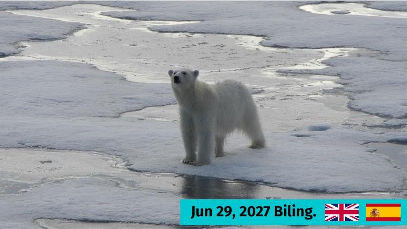 Svalbard occidental y borde de hielo polar (10 d�as)