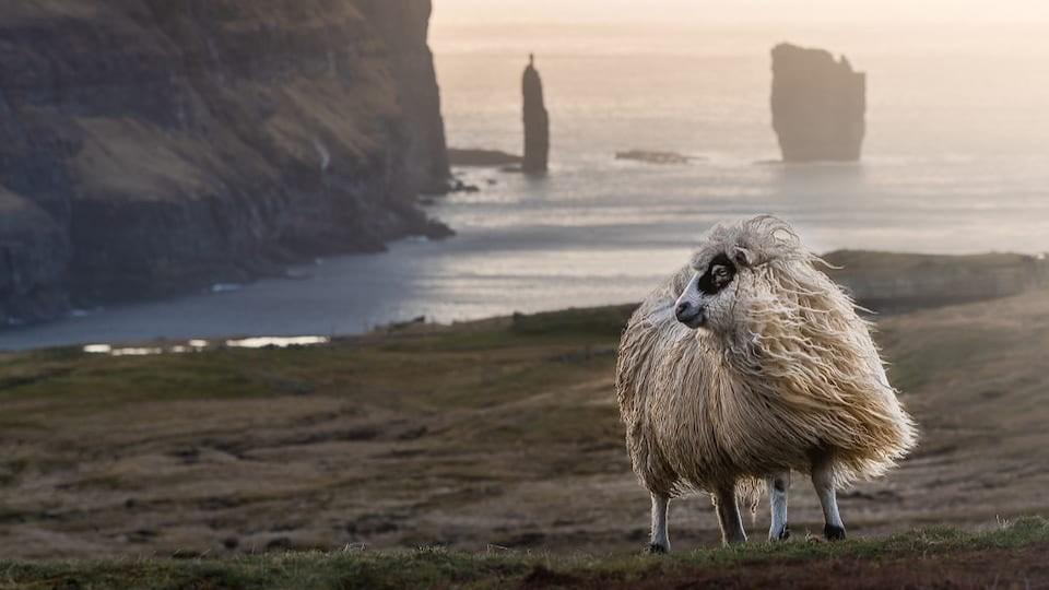 Faroe Islands by Land