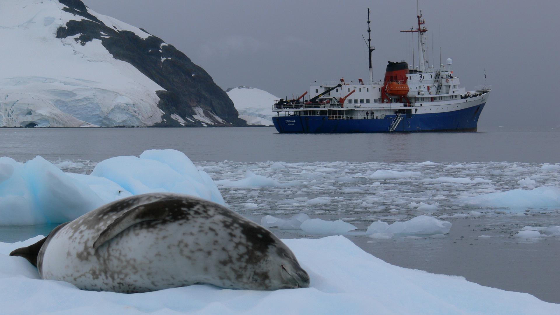 Classic Antarctica 27/28 (9 Nights)