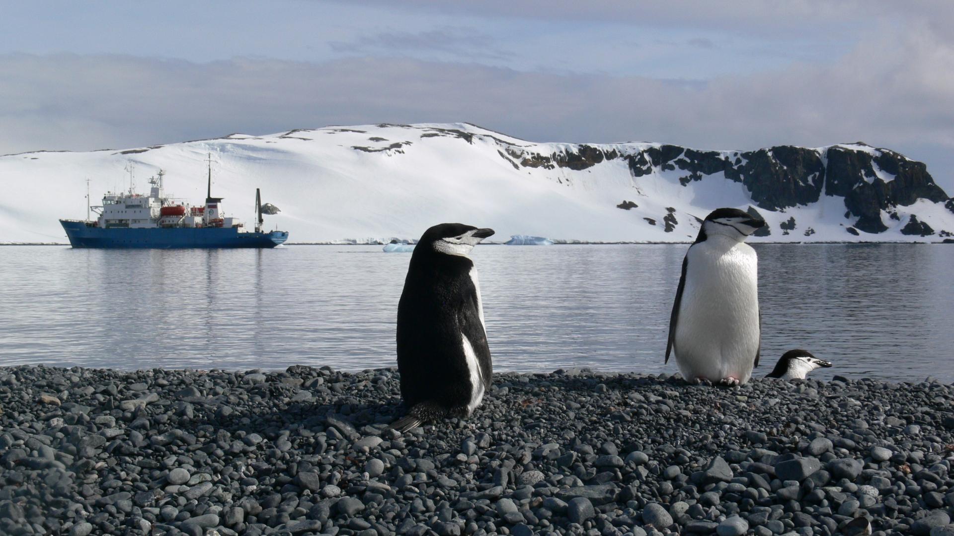 Classic Antarctica 27/28 (10 nights)