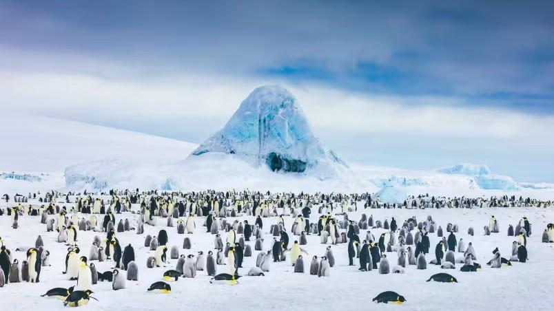 B�squeda del ping�ino emperador: expedici�n a Snow Hill