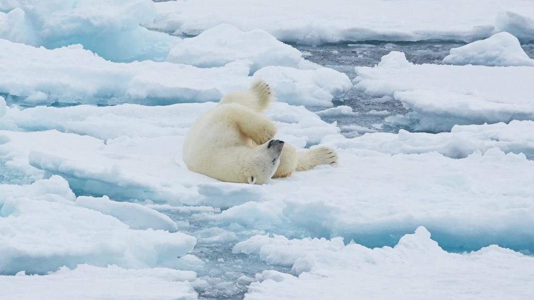 22 D�as de Exploraci�n Extensa del Oc�ano �rtico � Noroeste de Islandia y Spitsbergen