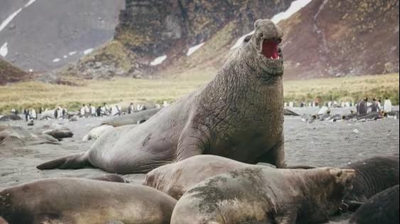 Essential Patagonia: Chilean Fjords and Torres del Paine (26.27)