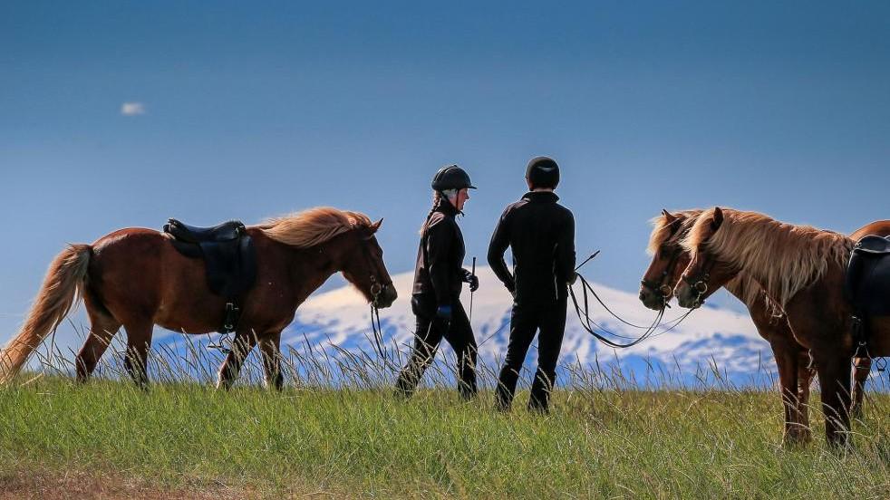 Horseback Riding