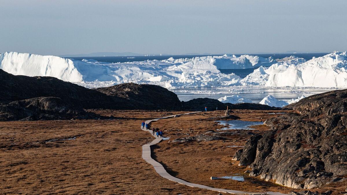 Groenlandia Salvaje: Una Expedici�n �rtica Activa