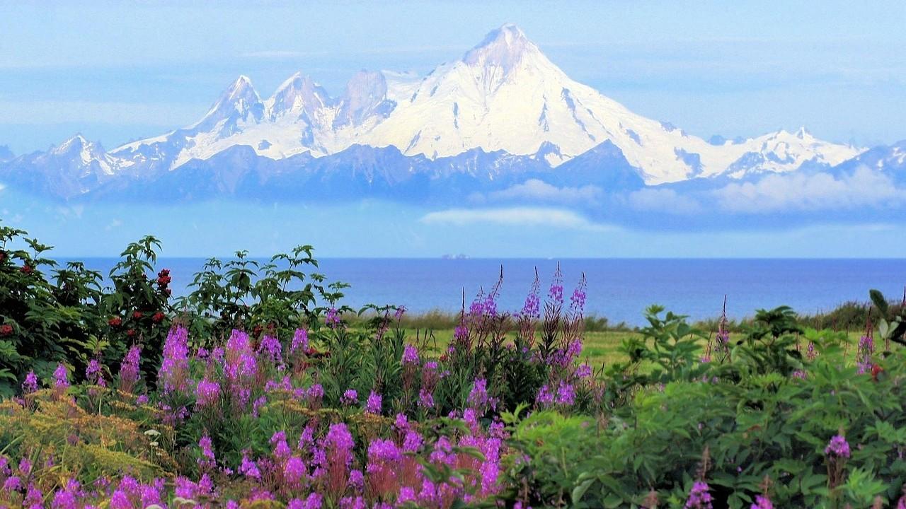 Best of Alaska