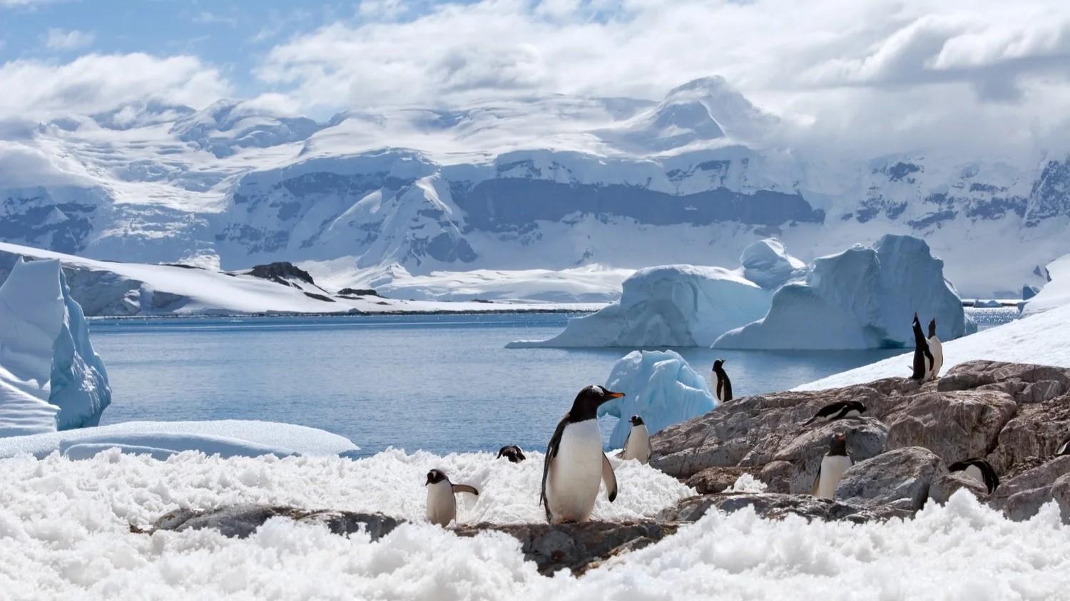 Ultimate Antarctic Adventure