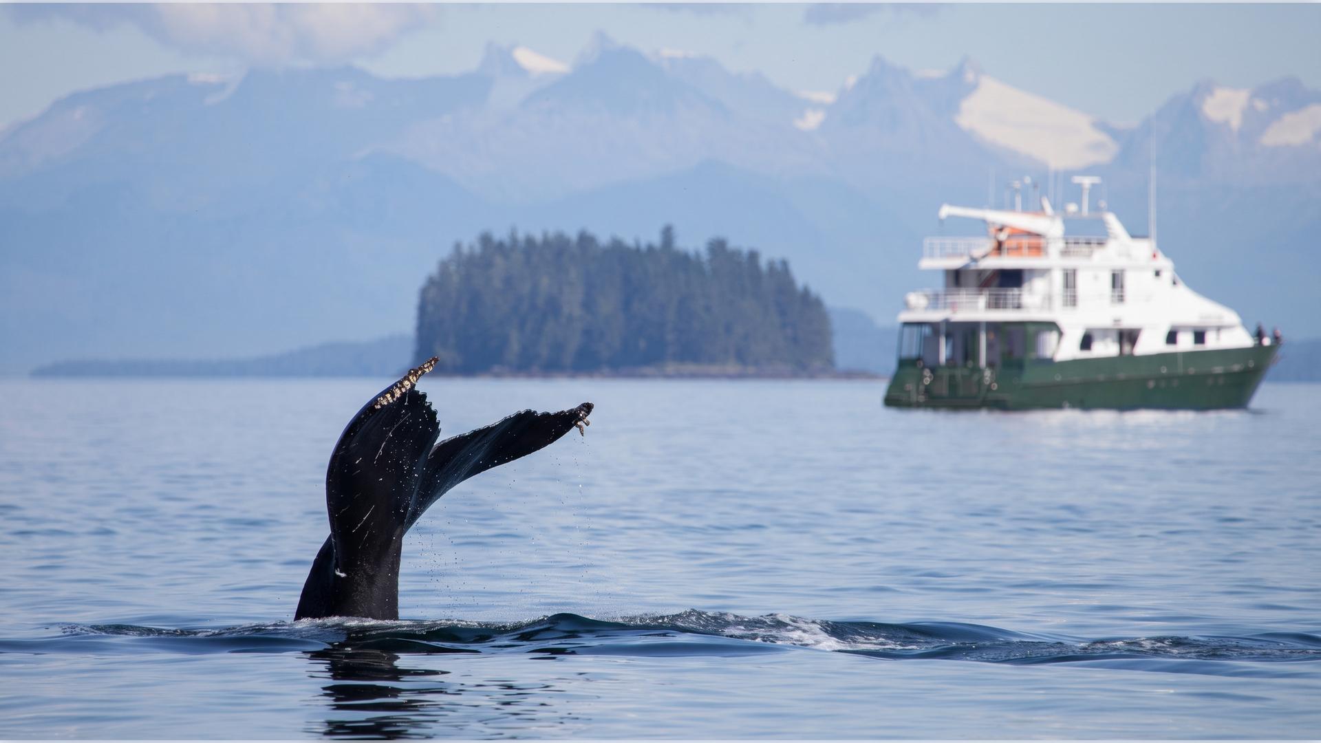 Naturaleza Glaciar de Alaska con Glacier Bay